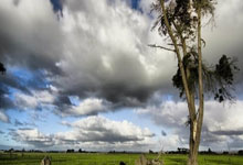 办理前问题 · 办理 · 激活|正规手机卡使用指南(2026)