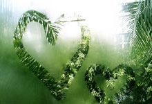 办理前问题 · 办理 · 激活|正规手机卡使用指南(2026)