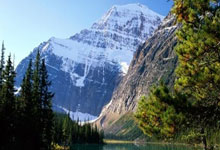 办理前问题 · 办理 · 激活|正规手机卡使用指南(2026)