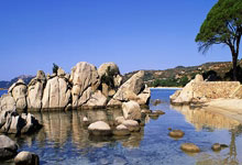 办理前问题 · 办理 · 激活|正规手机卡使用指南(2026)